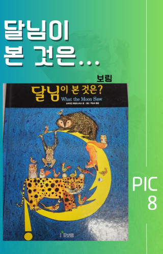 달님이 본 것은