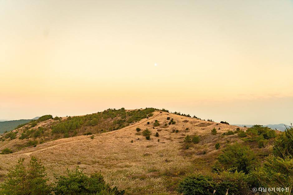 가을 여행지 제주도 은빛 물결 억새 추천 장소