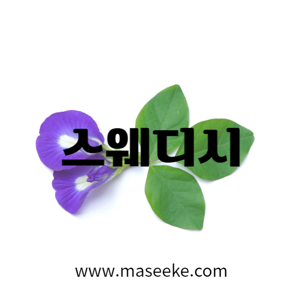 수원 스웨디시 마사지