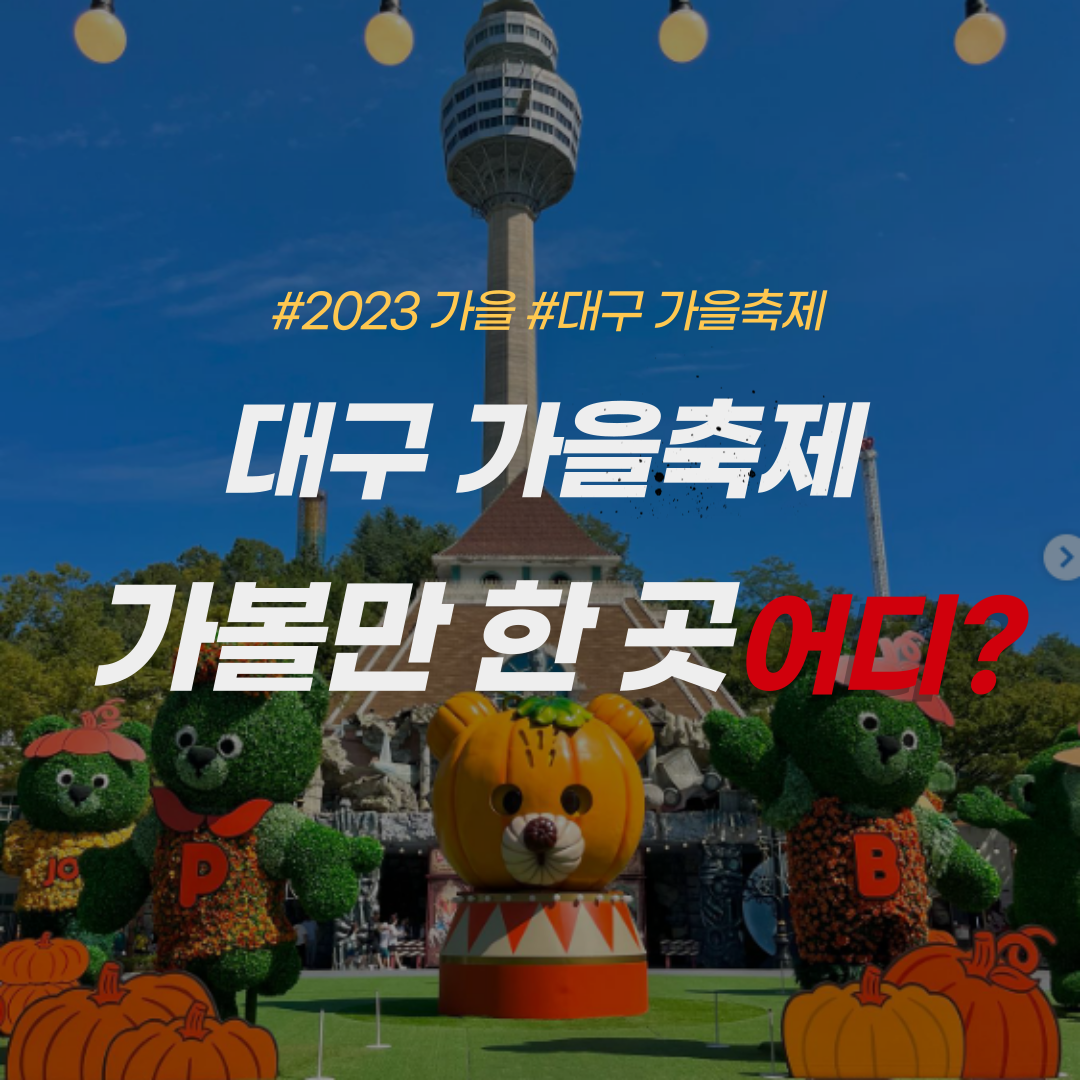 대구 가을축제