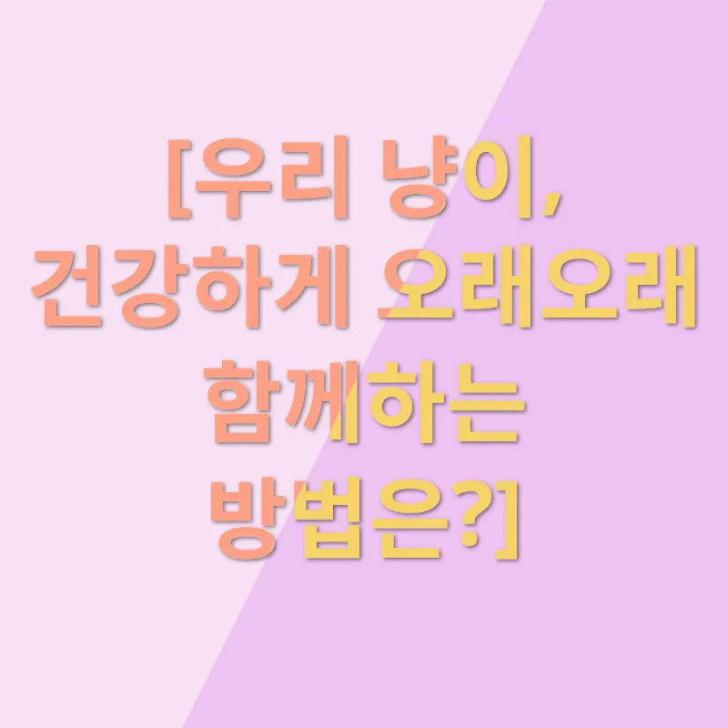 안전한 고양이 입양_2