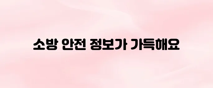 한국소방안전원 홈페이지 (www.kfsi.or.kr/)