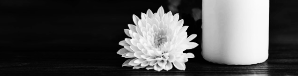 문상객: '삼가 조의를 표합니다', '얼마나 슬프십니까'