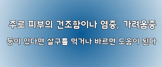  주로 피부의 건조함이나 염증, 가려움증 등이 있다면 살구를 먹거나 바르면 도움이 된다