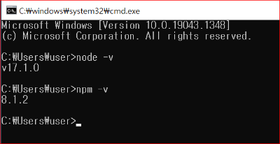 npm 버전 확인
