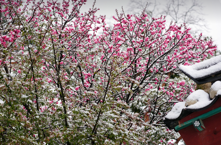 숙박세일 페스타