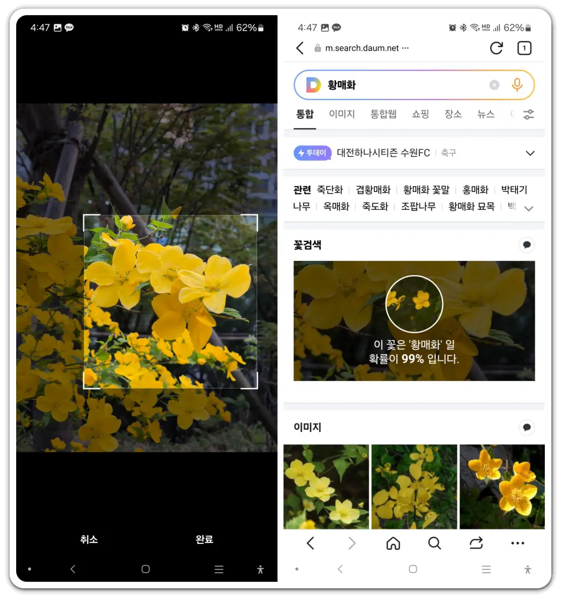 꽃-이름-검색-찾기-방법