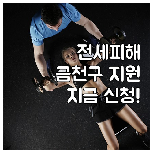 2025 금천구 전세피해 지원사업 소..