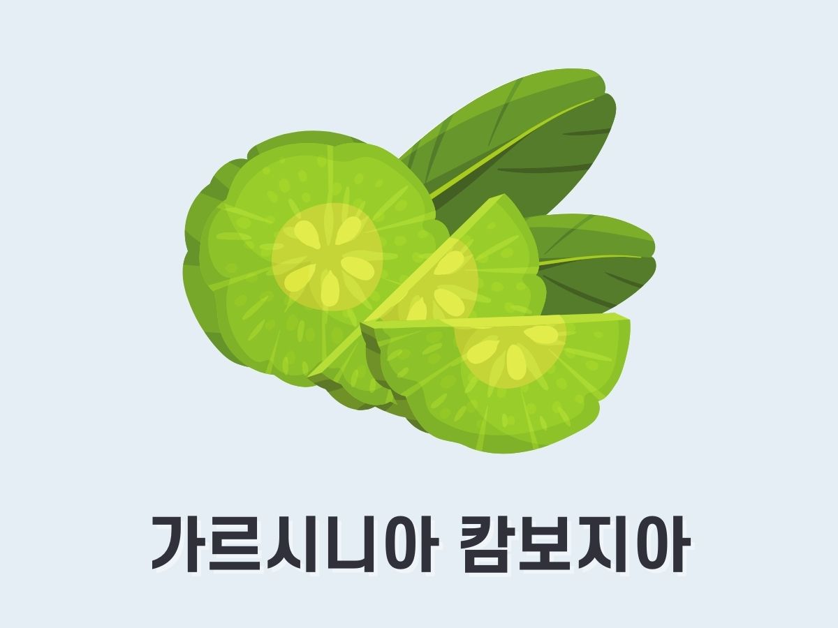 가르시니아 캄보지아(HCA)