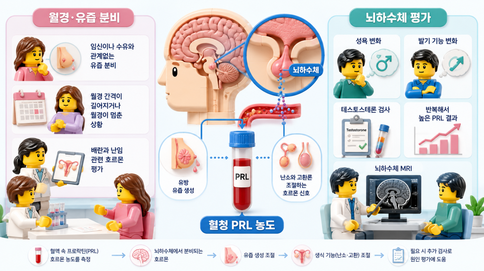 프로락틴 검사가 측정하는 혈중 PRL 농도와 시행하는 상황을 레고풍 의료 인포그래픽으로 설명한 일러스트