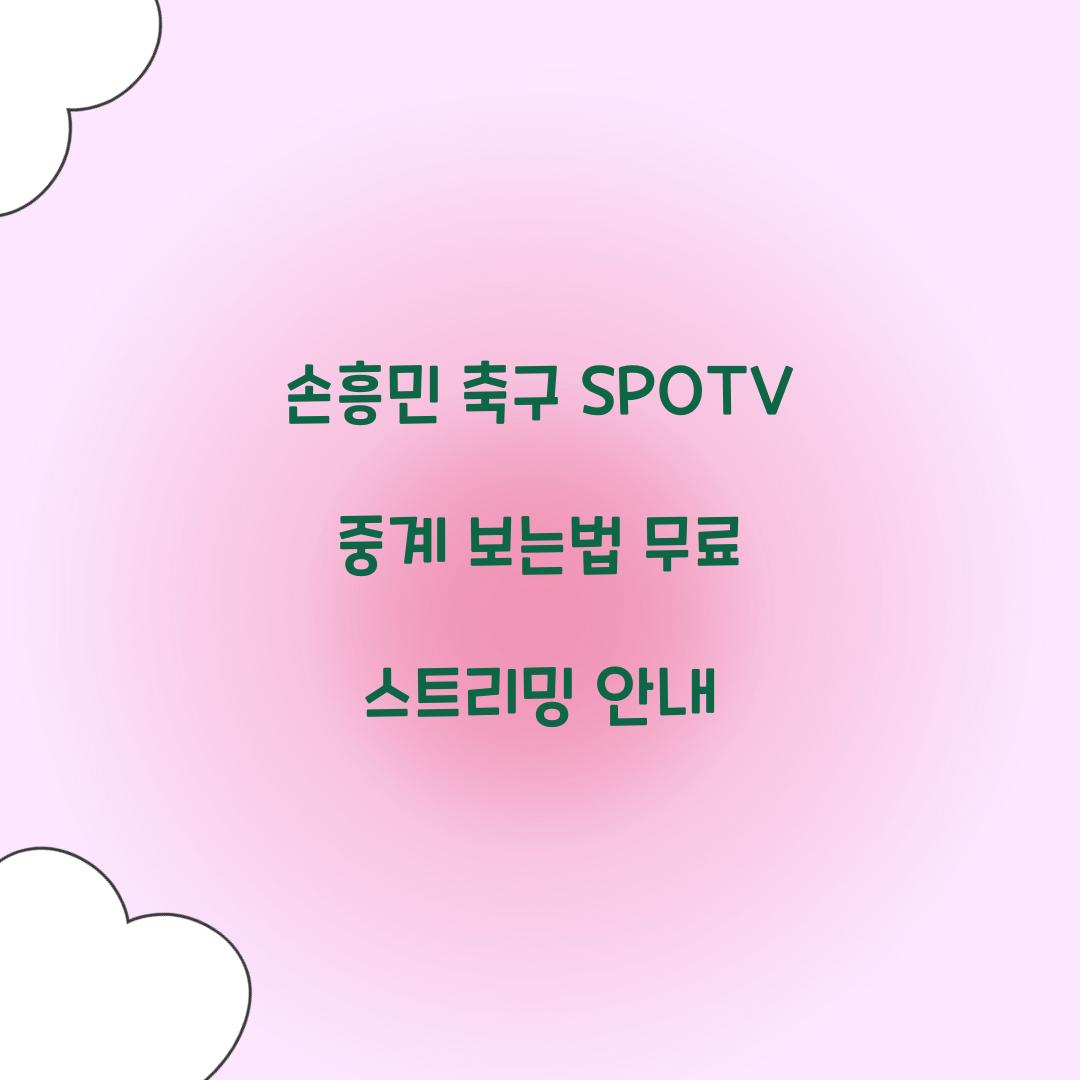 손흥민 축구 SPOTV 중계 보는법