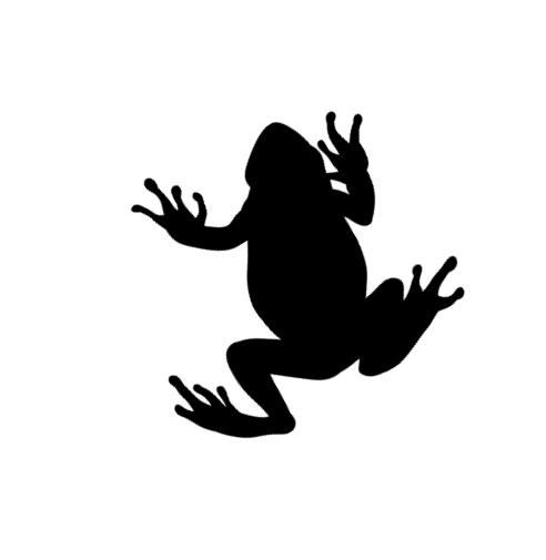 두꺼비 집 게임: 아이들의 탐구와 상상력을 자극하는 놀이