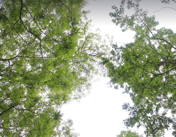글의 이해를 돕기 위한 사진