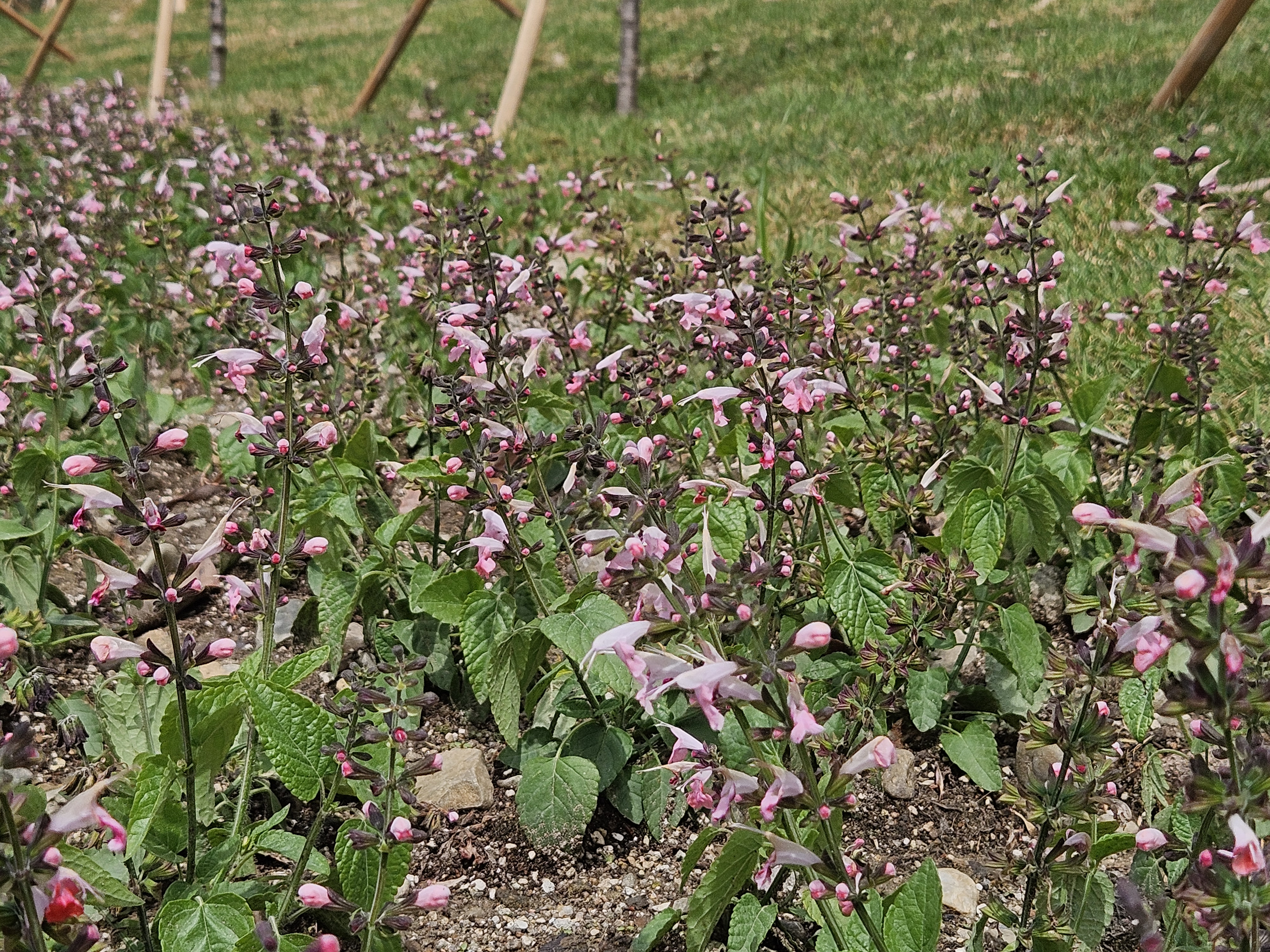 어린이 예술 직업 체험! 장성 꽃축제에서 미래 꿈꿔봐요.