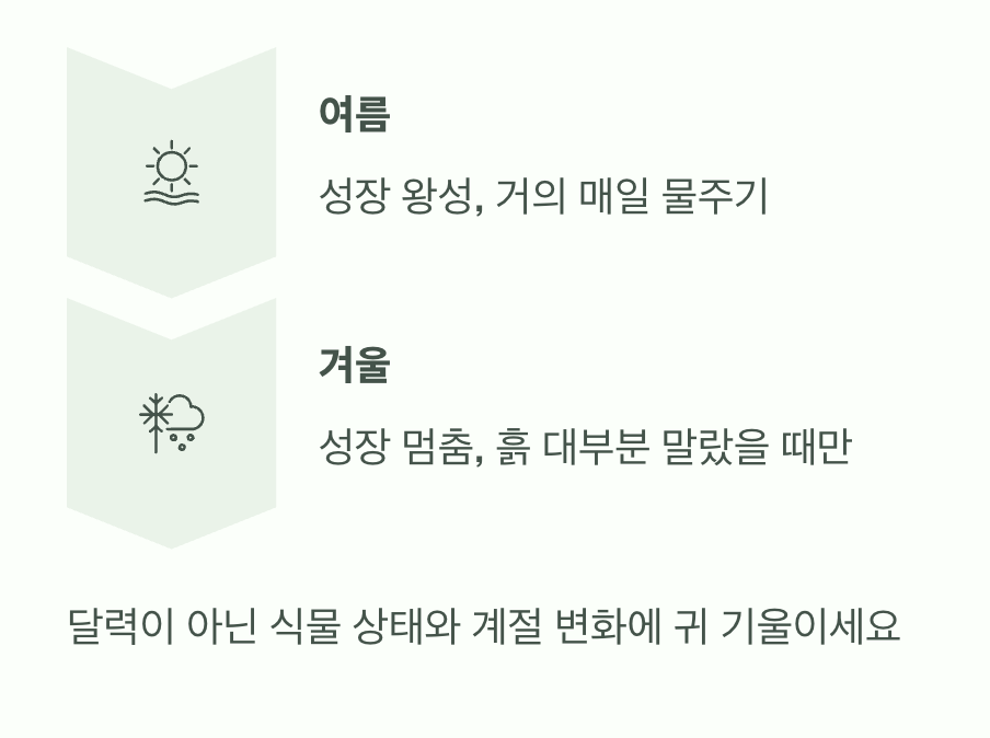 계절에 따라 물주기 조절하기