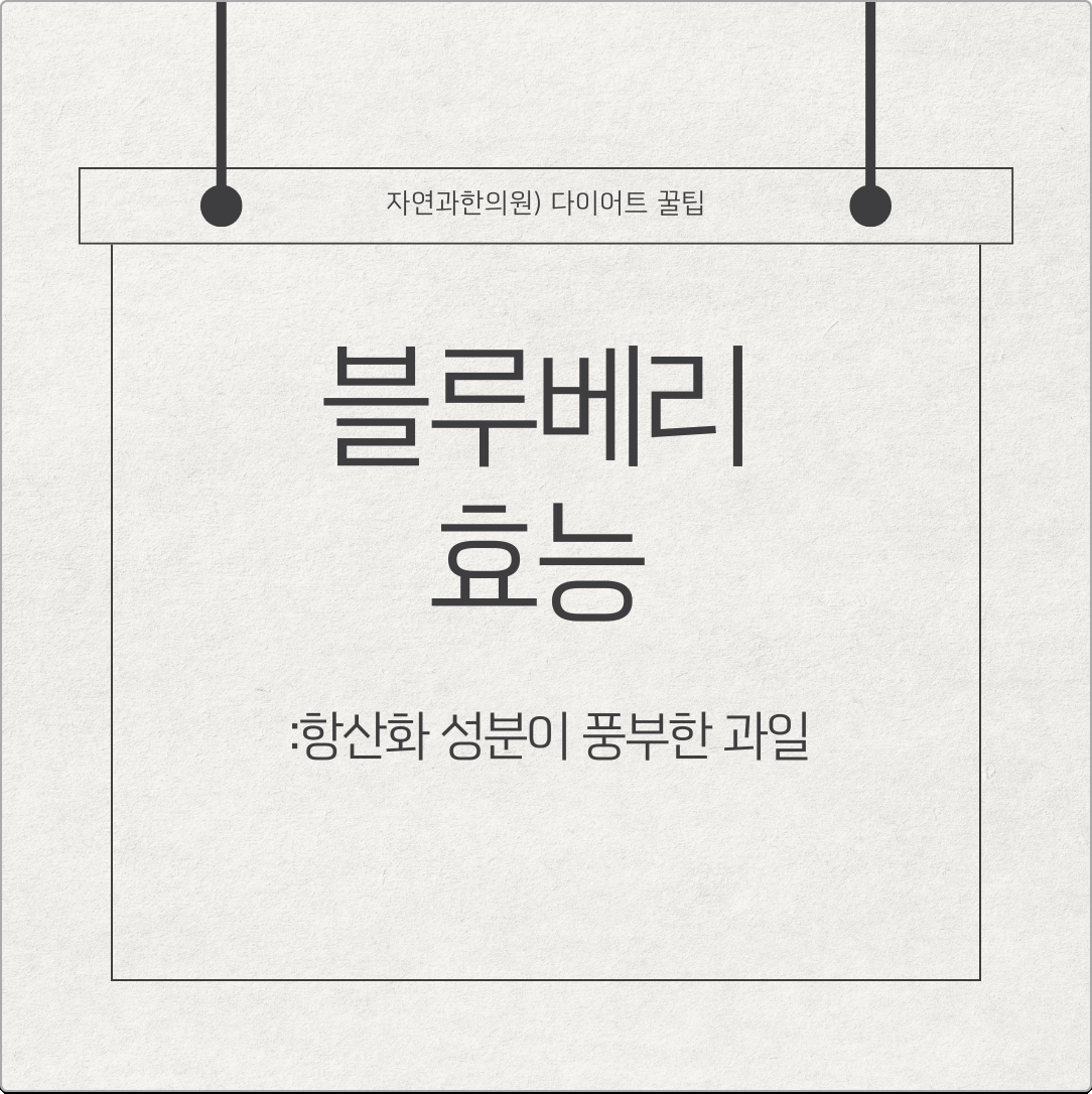 블루베리 효능 항산화 성분이 풍부한 과일