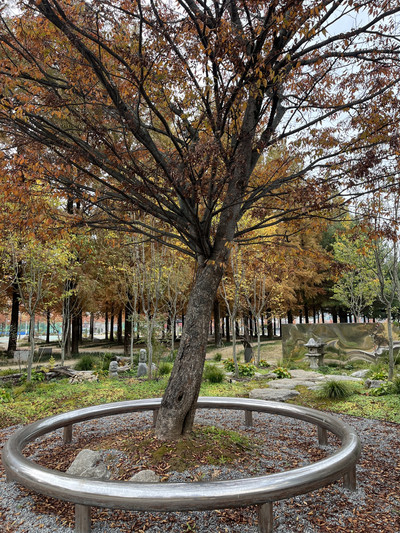[정원수목]한옥 정원에 어울리는 한국 전통 수목 10가지