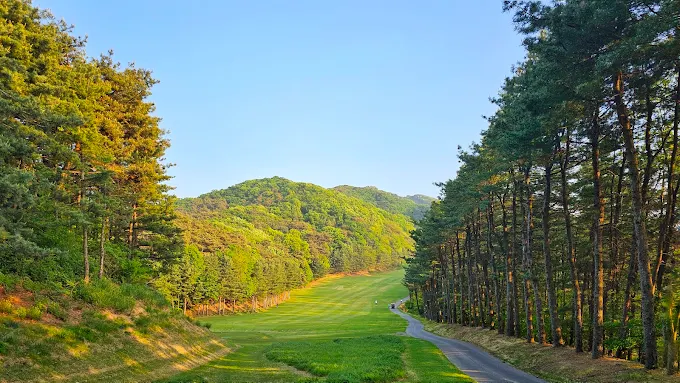 경기도 용인 양지파인CC 골프장 소개 및 예약방법