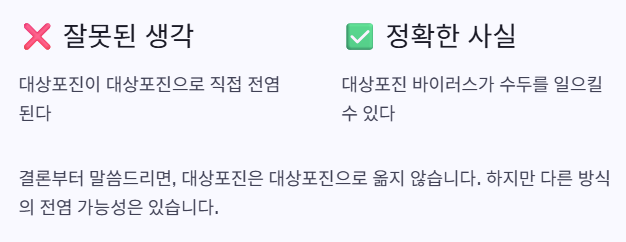 사실과 거짓