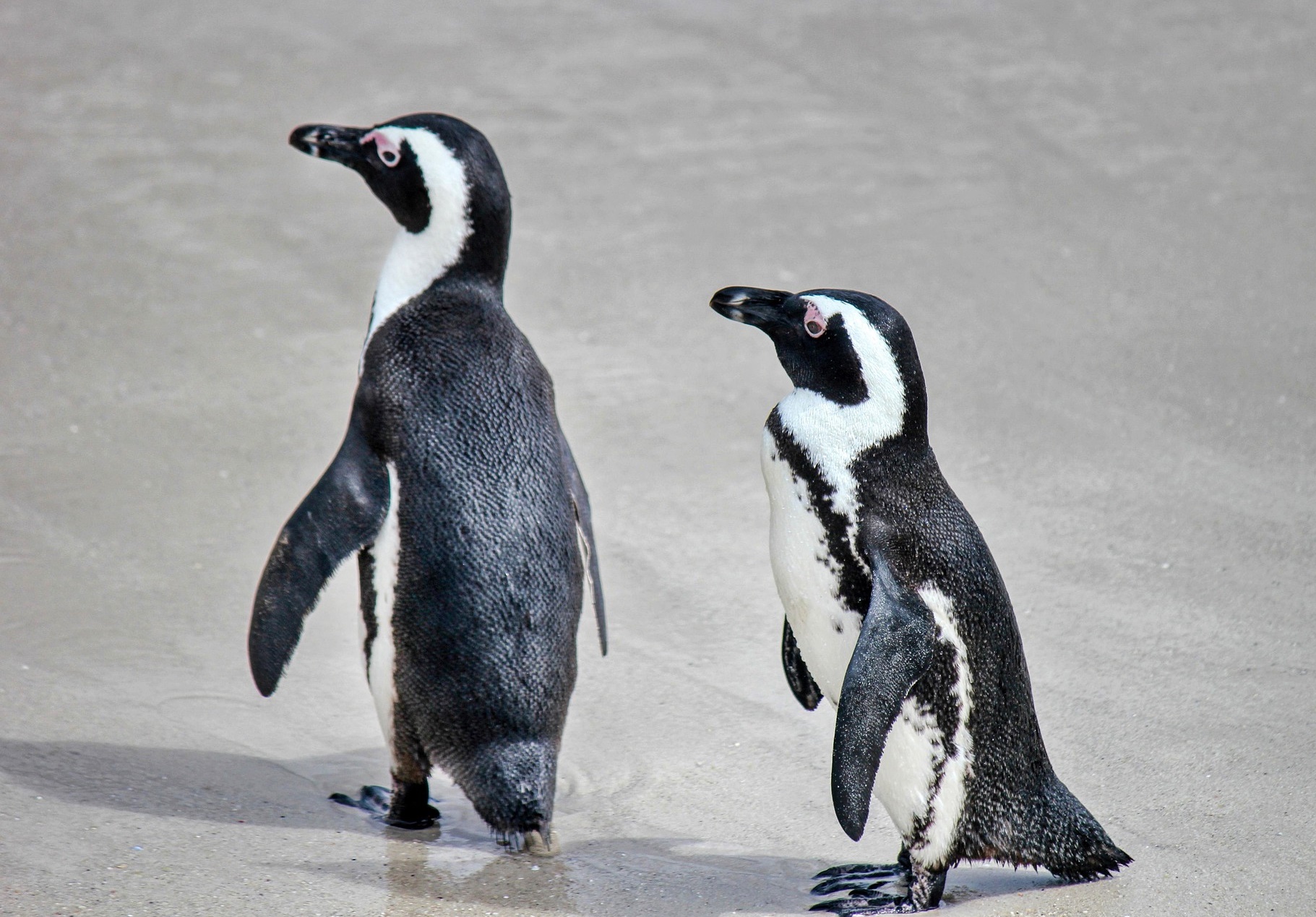  기후 위기는 왜 &lsquo;교육과 노동시장&rsquo;부터 무너뜨리는가?