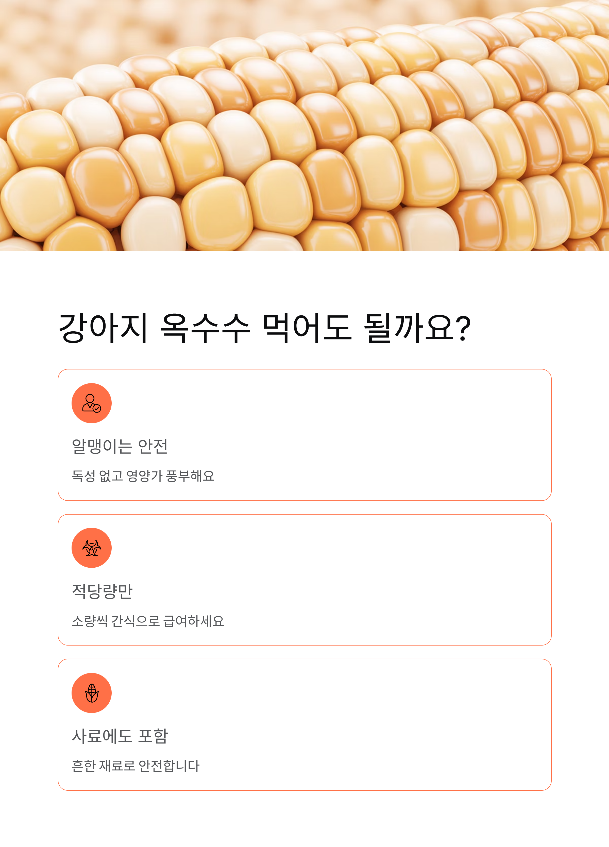 강아지 옥수수 급여해도 될까? 심지는 절대 안 되는 이유
