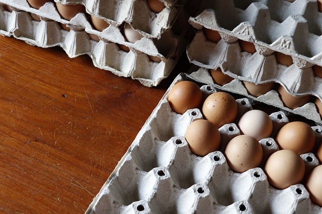 하루 10분 홈트로 몸매 변화를 만드는 핵심 전략