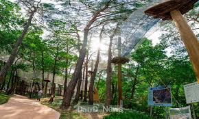 영덕 가볼만한곳 베스트10 - 산성 계곡 생태공원 어드벤처