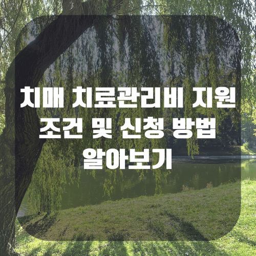 치매 치료관리비 지원 조건 및 신청 방법 알아보기