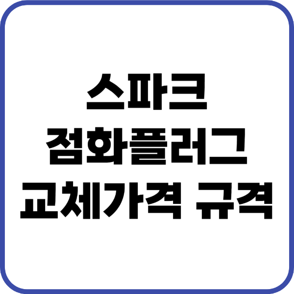 스파크 점화플러그