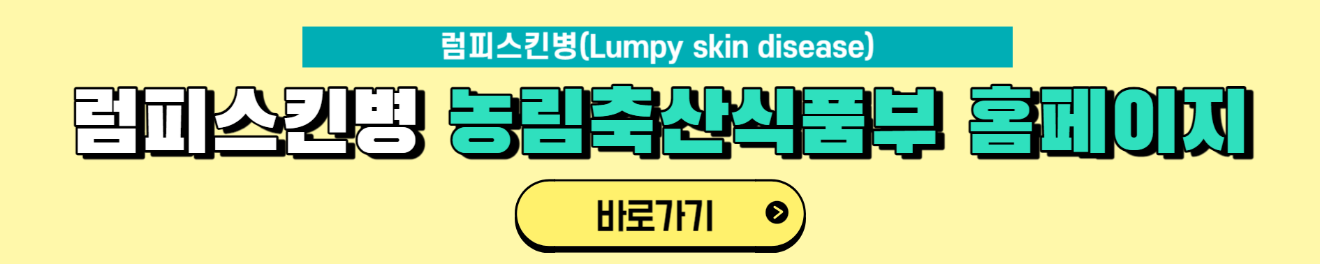 럼피스킨이 사람에게 미치는 영향과 럼피스킨이란?