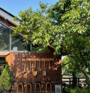 경기도 정원 카페