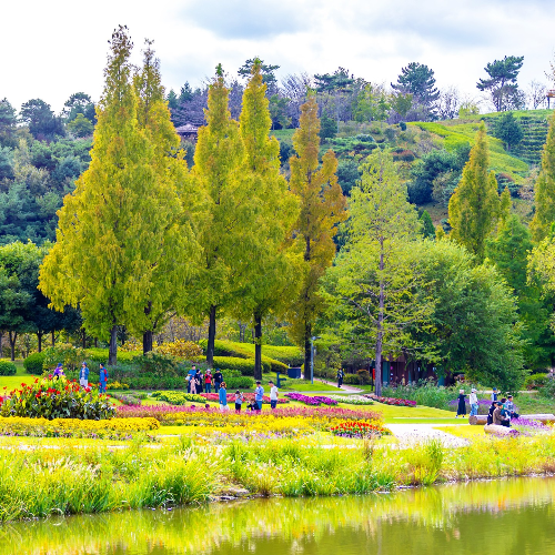 순천만 갈대축제