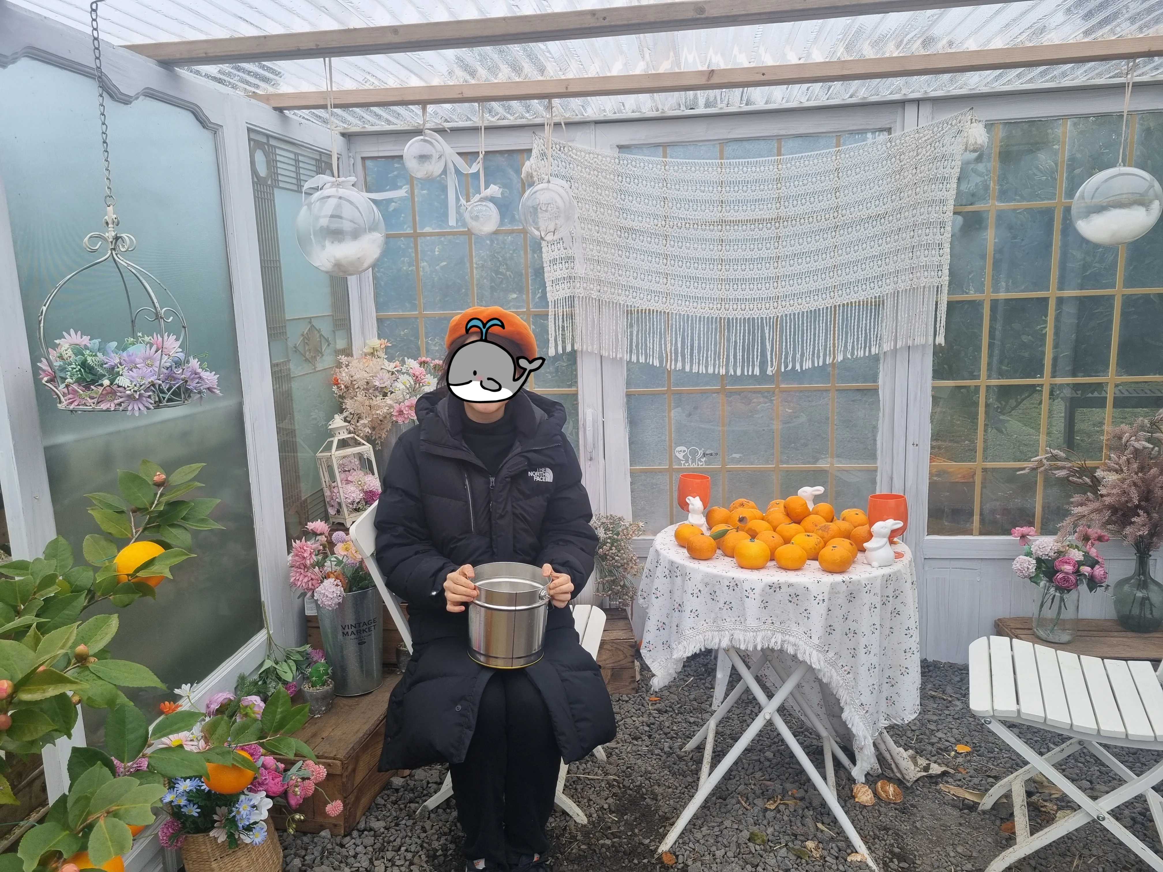 제주감귤체험-포토존