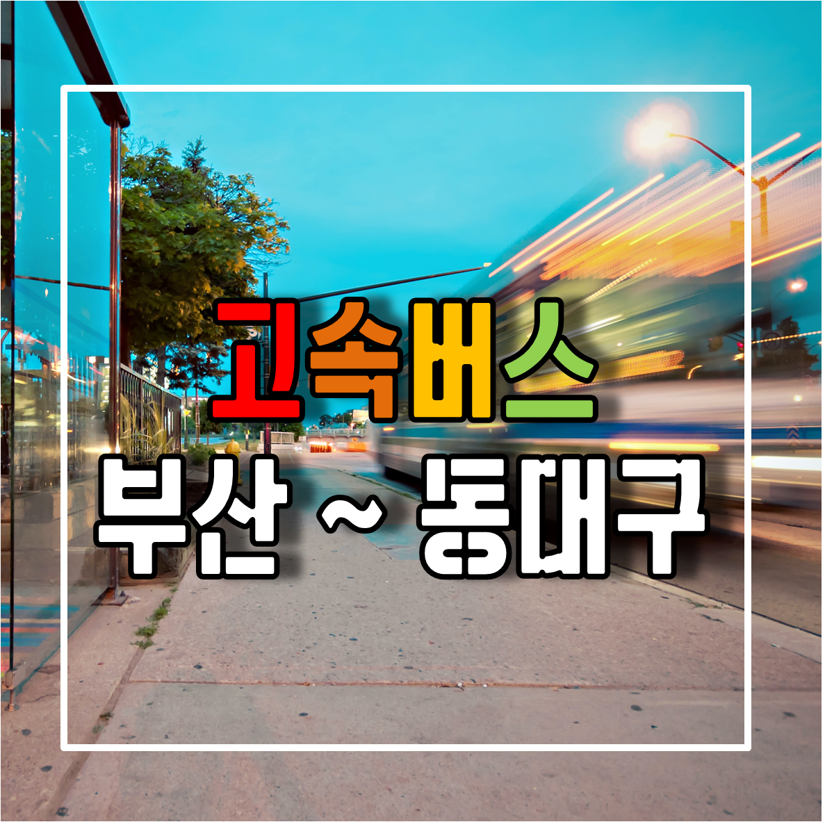 부산에서 동대구가는 고속버스 시간표 및 예매