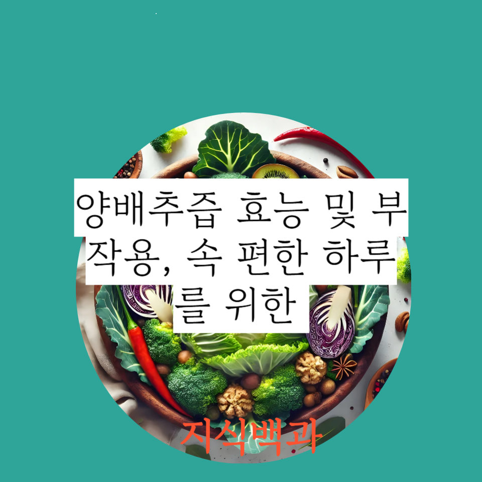 양배추즙 효능 및 부작용, 속 편한 하루를 위한