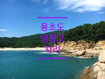 용초도 배시간표 배편 요금 낚시포인트_9