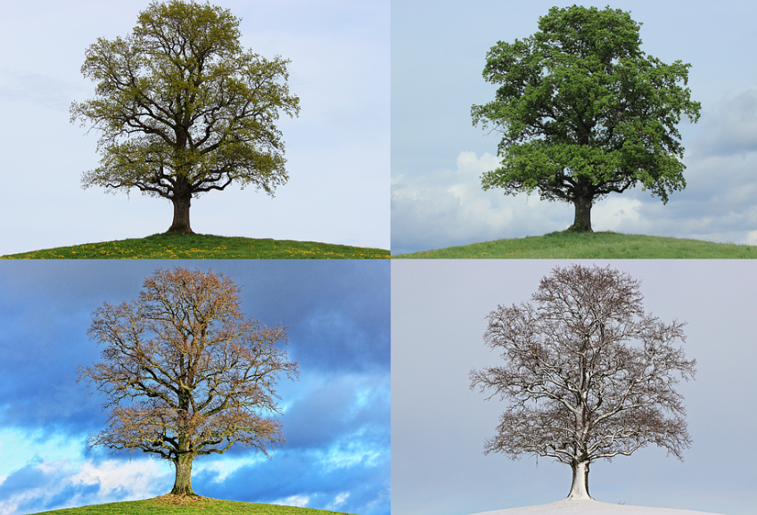 계절에 어울리는 추천 플레이리스트