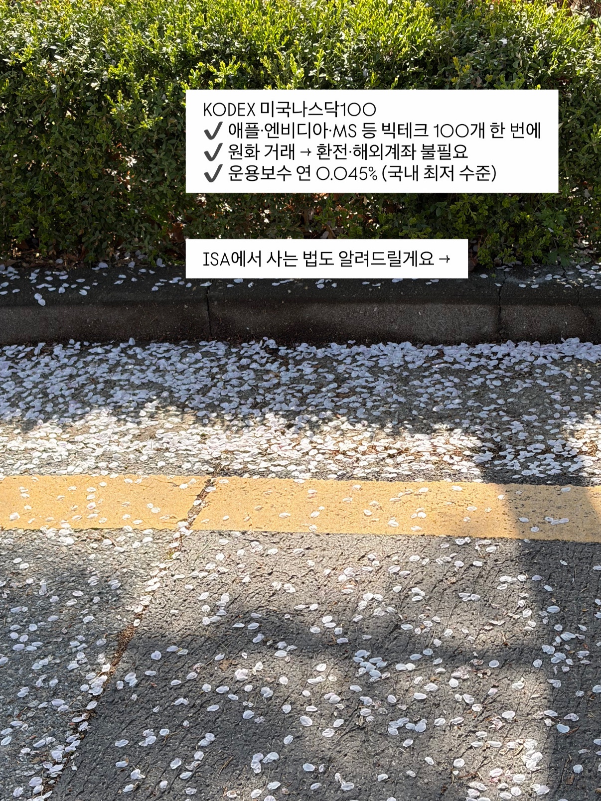 KODEX 미국나스닥100 ETF, ISA 계좌에서 사는 법과 내가 45% 담은 이유