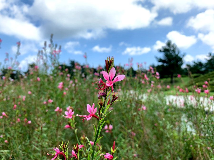 에버리스 골프 리조트 풍광