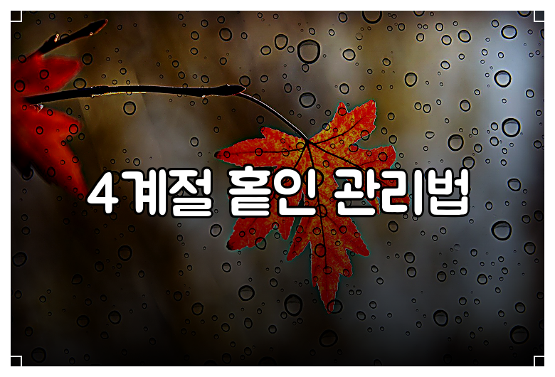 4계절 홑인 관리법
