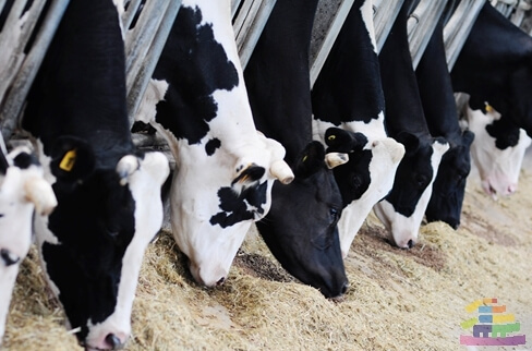 익산 가볼만한곳 베스트 10