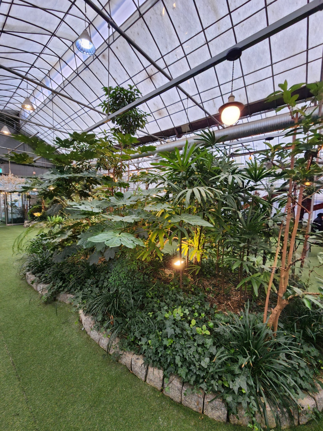 코코테로의 식물들