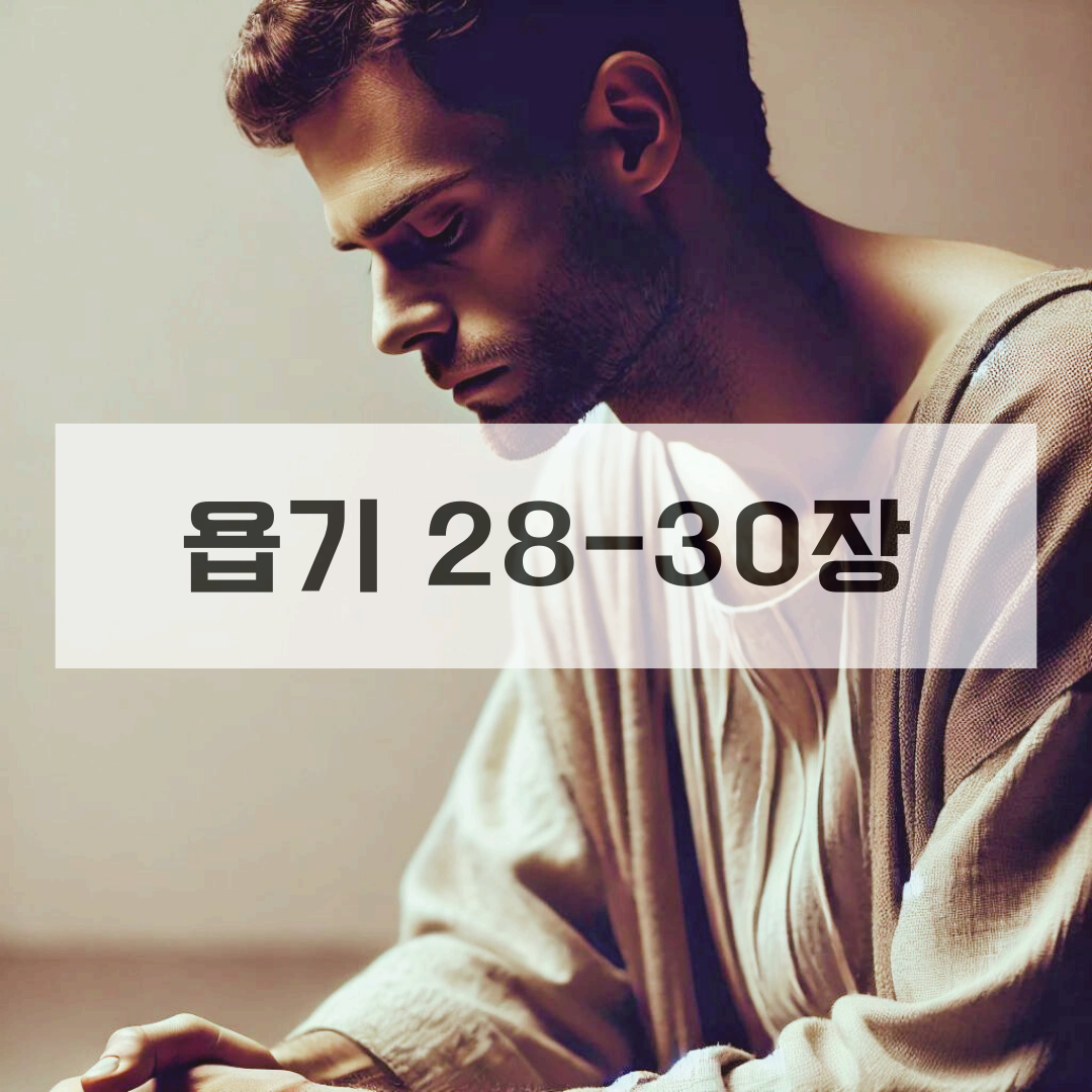 욥기28_30장