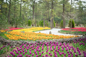 봄 여행지 제주도