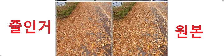 사진첩에 줄이기한 사진 저장됨