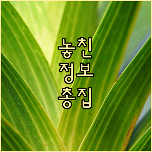 마포 구수동 쓰레기 배출 요일 시간,..