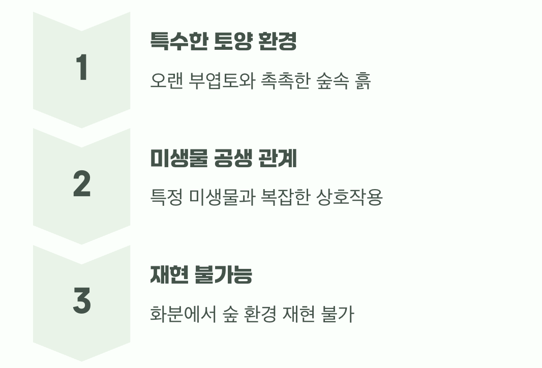 화분에 담을 수 없는 숲의 비밀