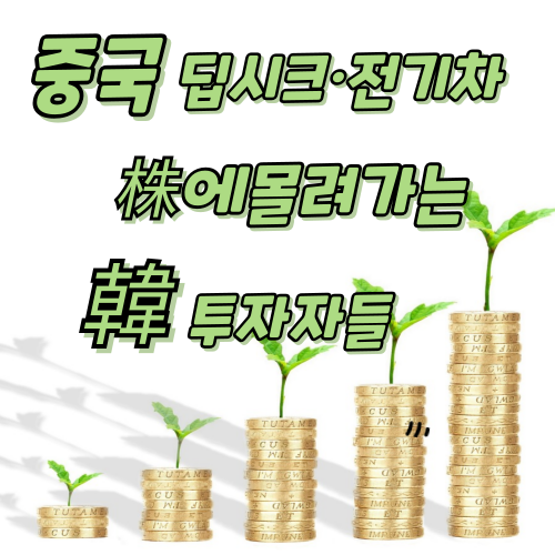 관심 분야, 투자, 성장하는 이미지