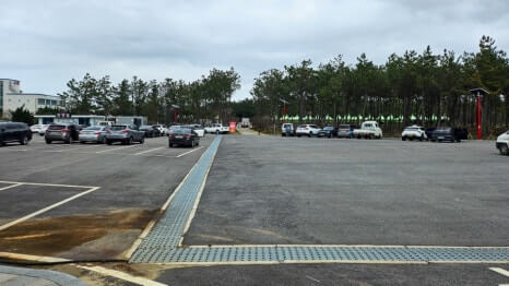 신안 임자도 큘립축제