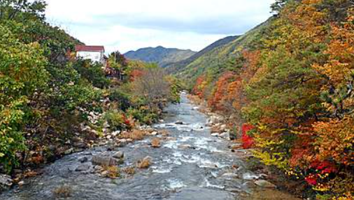 2025 속리산 단풍 절정시기 &amp; 등산지도 ❘ 추천 등산코스 최신 업데이트